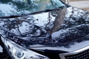 Hailstone Damage
